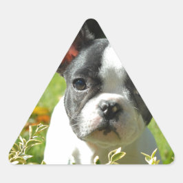 Schwarz-Weiß-Bull-Hunde-Welpe Dreieckiger Aufkleber