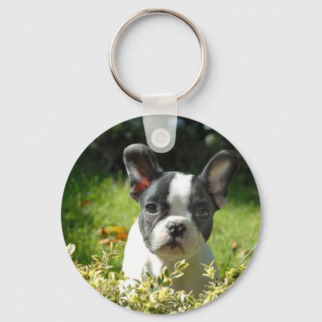 Schwarz-Weiß-Bull-Hunde-Welpe Schlüsselanhänger (Vorderseite)