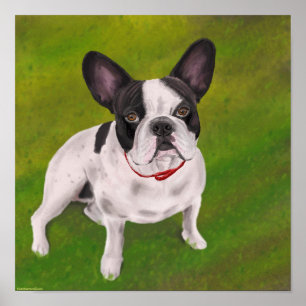 Schwarz-Weiß-Bulldog auf Gras - Malerei Poster