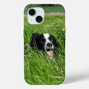 Schwarz-Weiß-Collie im Gras Case-Mate iPhone Hülle