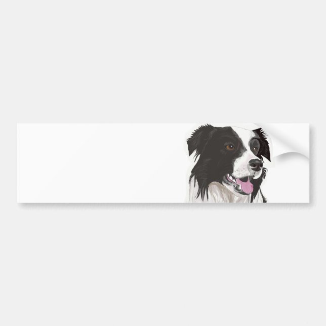 Schwarz-Weiß-Collie mit braunen Augen Bumper Stic Autoaufkleber (Vorne)