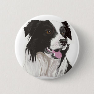 Schwarz-Weiß-Collie mit braunen Augen Button