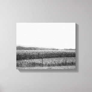 Schwarz-Weiß-Cornfield-Landschaft mit Bäumen 11x14 Leinwanddruck