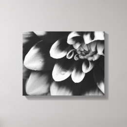Schwarz-Weiß-Dahlia-Blume Blossom Leinwanddruck