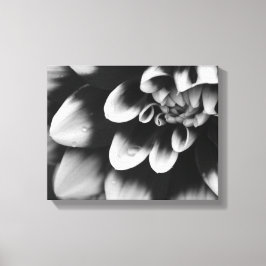 Schwarz-Weiß-Dahlia-Blume Blossom Leinwanddruck