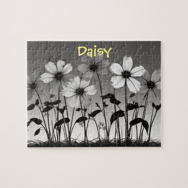 Schwarz-Weiß-Daisy-Blume (Horizontal)