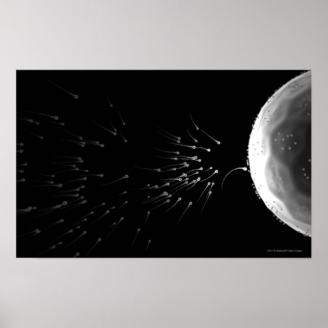 Schwarz-Weiß-Darstellung der Düngung Poster (Vorne)