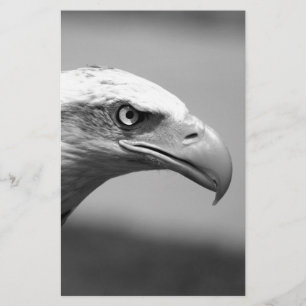 Schwarz-Weiß Eagle Eye Briefpapier