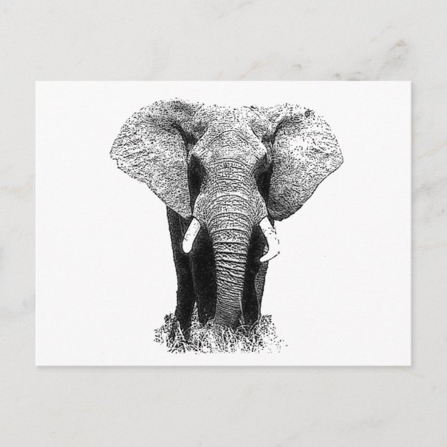 Schwarz-Weiß-Elefant Postkarte (Vorderseite)