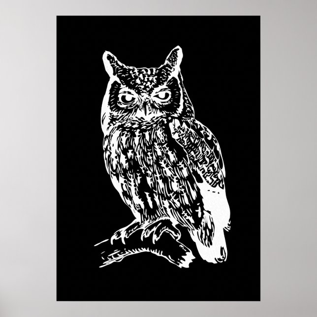 Schwarz-Weiß-Eulen-Kunst Poster (Vorne)