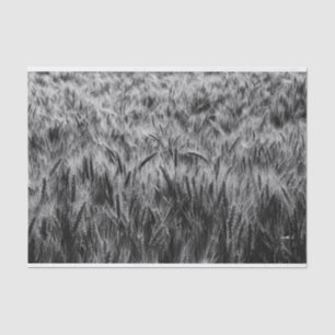 Schwarz-Weiß-Feld Seidenpapier