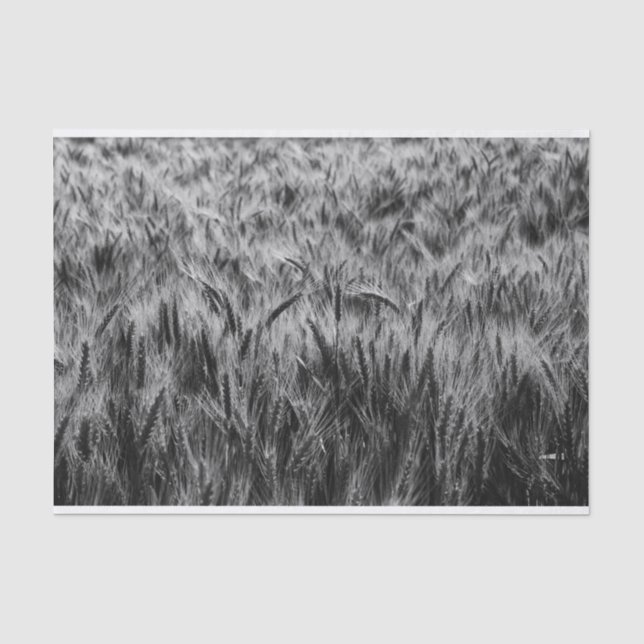 Schwarz-Weiß-Feld Seidenpapier (Vorderseite)