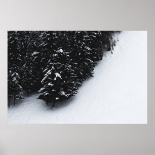 Schwarz-Weiß-Fichtenwald und Schnee Poster