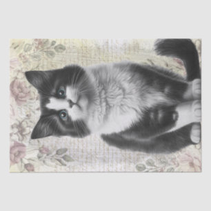 Schwarz-Weiß-Flora-Katze Kitten Seidenpapier