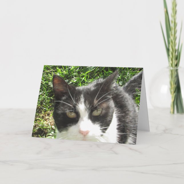 Schwarz-Weiß-Foto-Blankkarte Karte (Vorderseite)