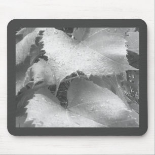 Schwarz-Weiß-Foto der Blätter "Nasse und Zauber" Mousepad