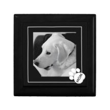 Schwarz-Weiß-Foto der Mama Niedlicher Hunde