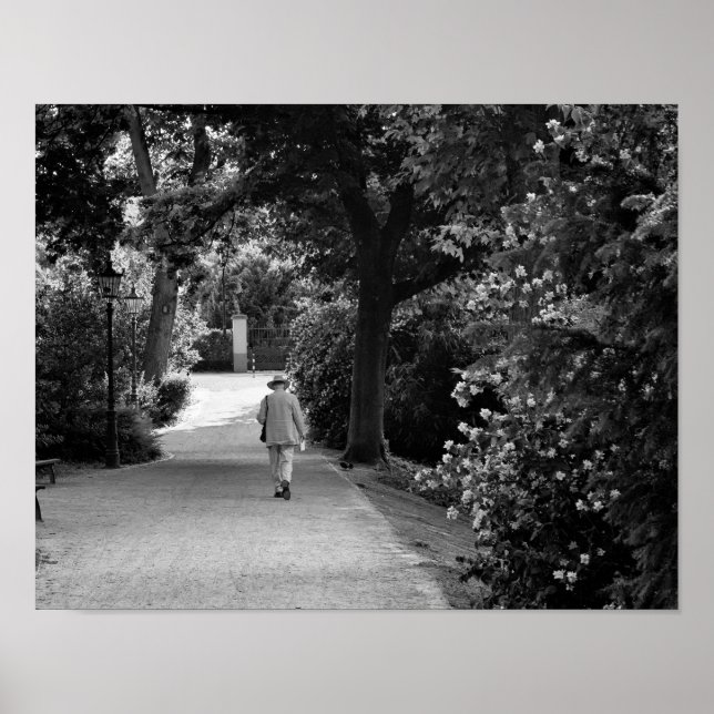 Schwarz-Weiß-Foto des alten Mannes im Park Poster (Vorne)