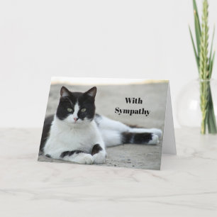 Schwarz-weiß-Foto einer Katze im Smoking zur Beile Karte