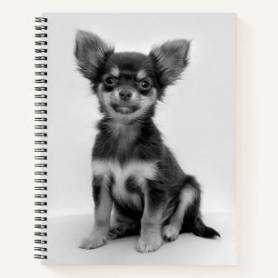 Schwarz-weiß-Foto eines Chihuahua-Welpen Notizbuch