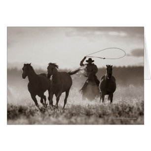 Schwarz-Weiß-Foto eines Cowboy Lassoing Horses