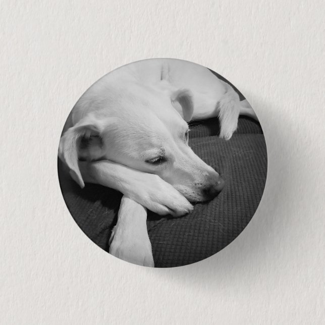 Schwarz-Weiß-Foto eines wunderschönen Hundeschlafe Button (Vorderseite)