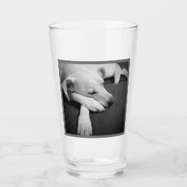Schwarz-Weiß-Foto eines wunderschönen Hundeschlafe Glas