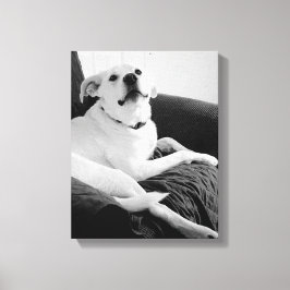 Schwarz-Weiß-Foto für den Hundedruck Leinwanddruck
