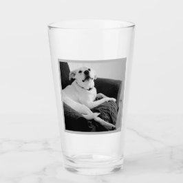 Schwarz-Weiß-Foto für die Meldung von Dog-Text Glas