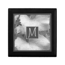 Schwarz-Weiß-Foto von Blätter der Weintraube Anfän