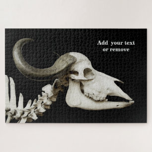 Schwarz-Weiß-Fotografie, afrikanischer Büffelskull