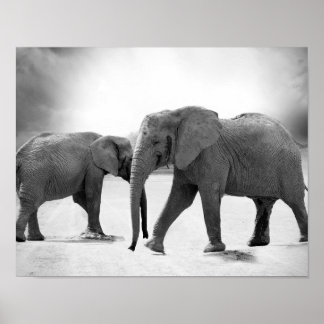 Schwarz-Weiß-Fotografie afrikanischer Elefanten Poster