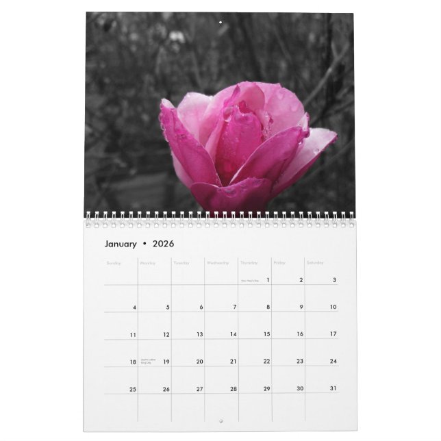 Schwarz-Weiß-Fotografie mit Farbakzenten Kalender (Jan 2026)
