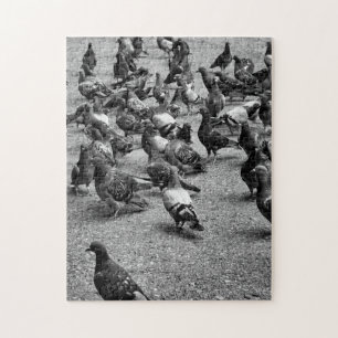 Schwarz-Weiß-Fotografie vieler Tauben