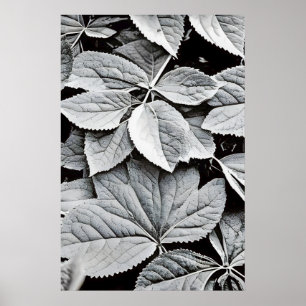 Schwarz-weiß-Fotografie von Blättern in feiner Kun Poster