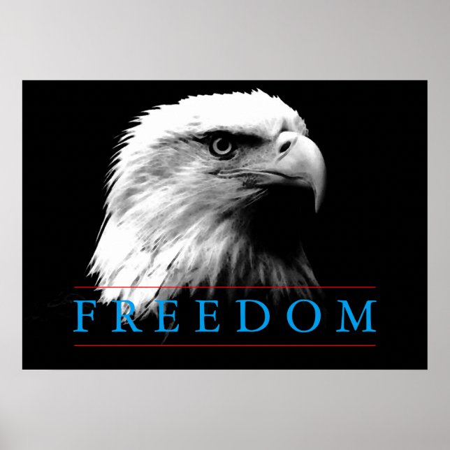 Schwarz-weiß Freedom American Eagle Poster (Vorne)