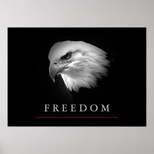 Schwarz-weiß Freedom Eagle Face Poster (Vorne)