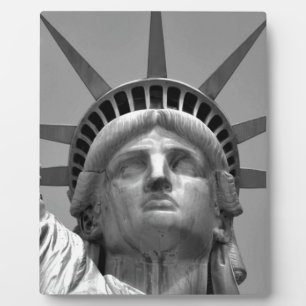 Schwarz-Weiß-Freiheitsstatue New York Fotoplatte