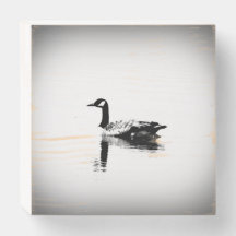 Schwarz-Weiß-Gans