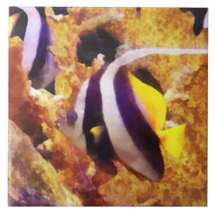 Schwarz-weiß gestreifter Kaiserfisch Fliese