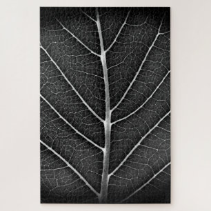 Schwarz-weiß glühendes Blatt Nahaufnahme