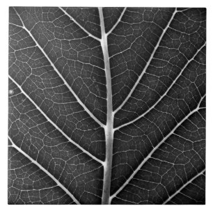 Schwarz-weiß glühendes Blatt Nahaufnahme Fliese