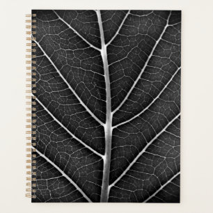 Schwarz-weiß glühendes Blatt Nahaufnahme Planer
