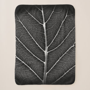 Schwarz-weiß glühendes Blatt Nahaufnahme Sherpadecke
