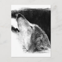 Schwarz-Weiß-Grau-Wolf-Sketch
