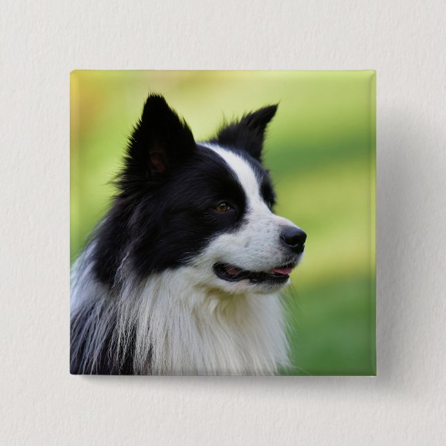 Schwarz-Weiß-Grenz-Hund Button (Vorderseite)