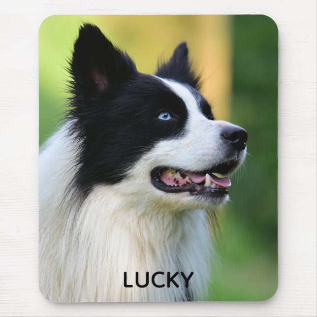 Schwarz-Weiß-Grenz-Hund Mousepad (Vorne)