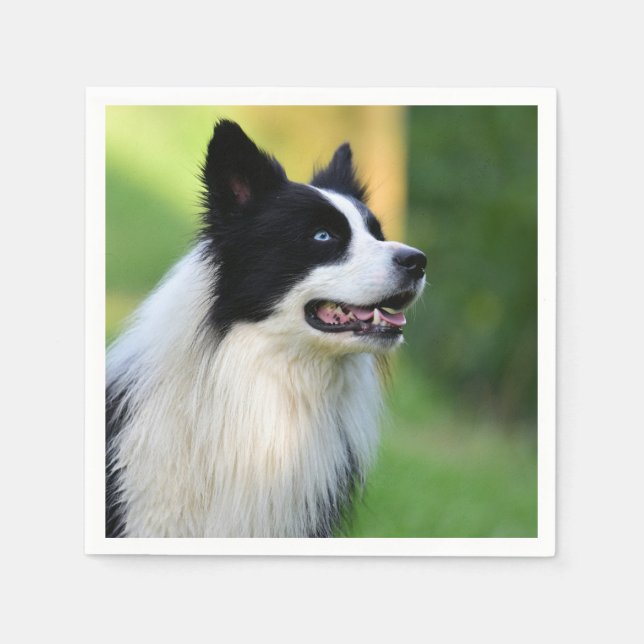 Schwarz-Weiß-Grenz-Hund Serviette (Vorderseite)