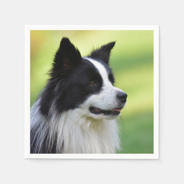 Schwarz-Weiß-Grenz-Hund Serviette (Vorderseite)