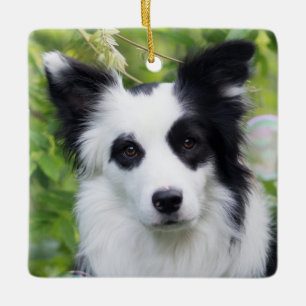 Schwarz-Weiß-Grenzkollie Keramikornament